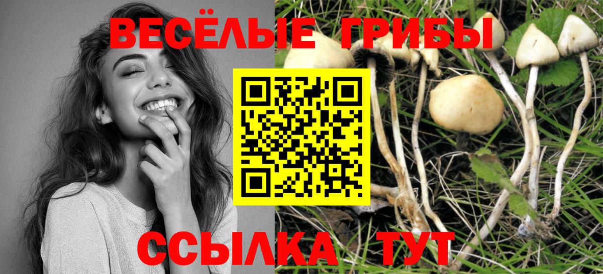Псилоцибиновые грибы MAGIC MUSHROOMS Омск
